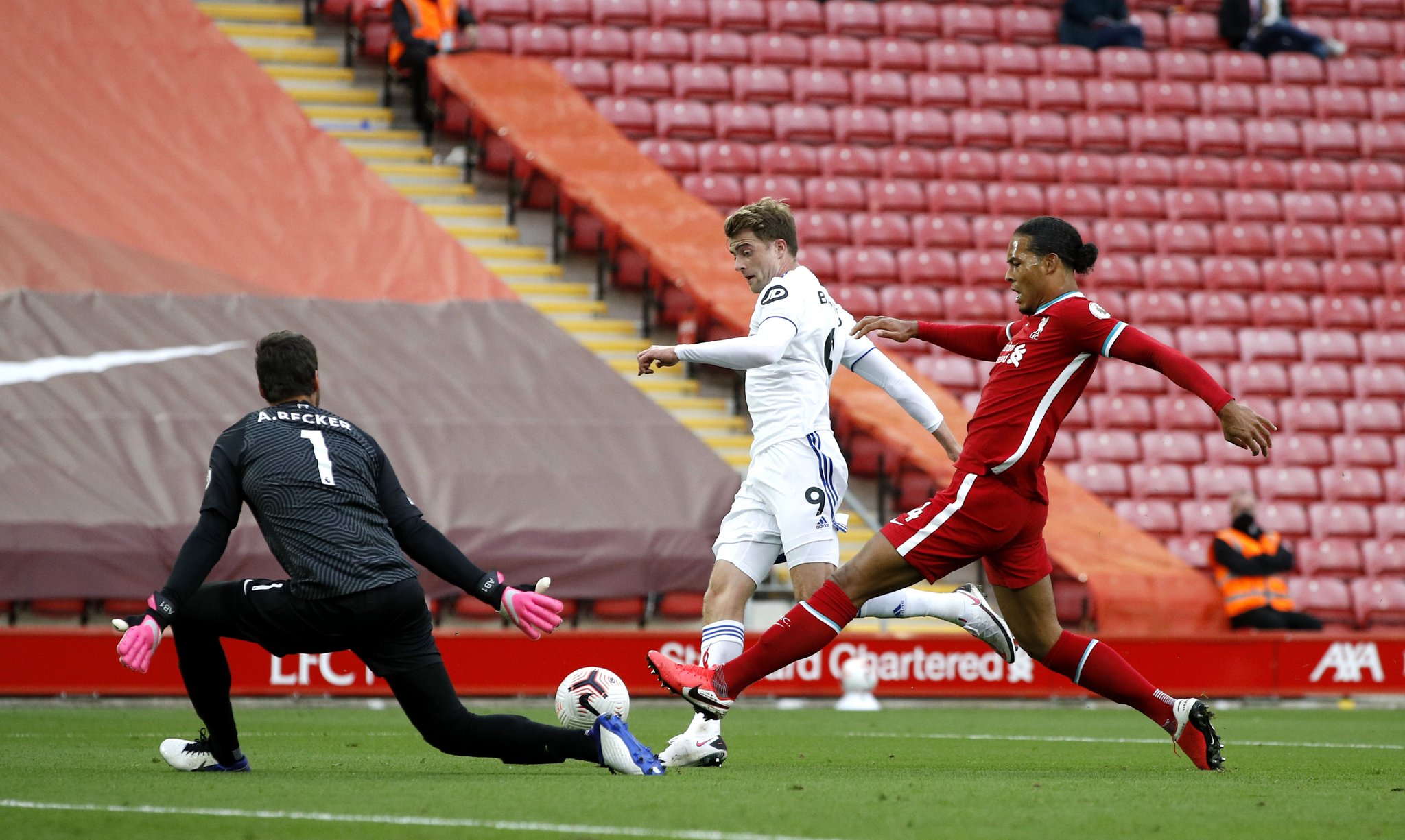 神秘区域的 神秘区域的