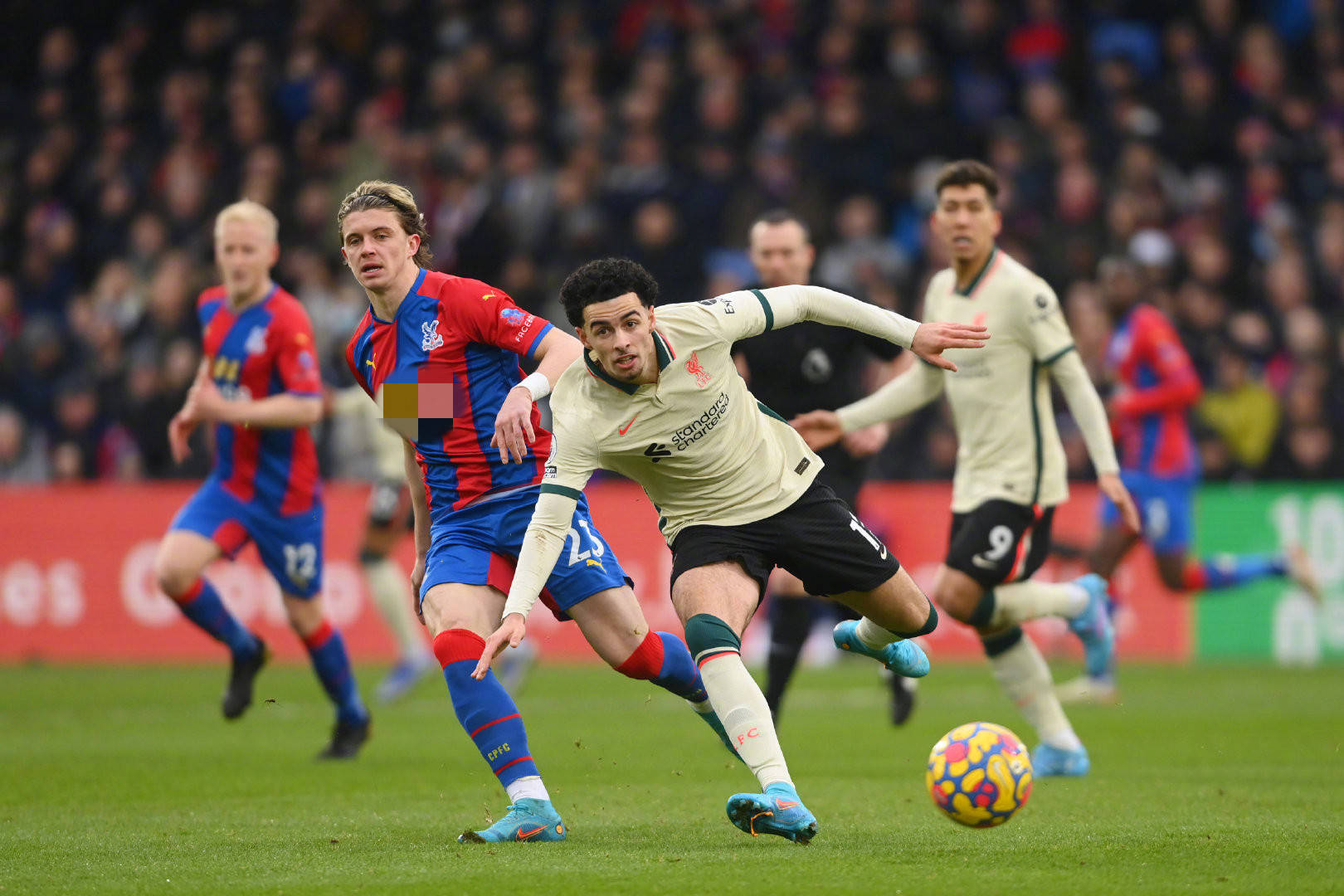 好者看清胜 好者看清胜